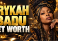 erykah badu net worth